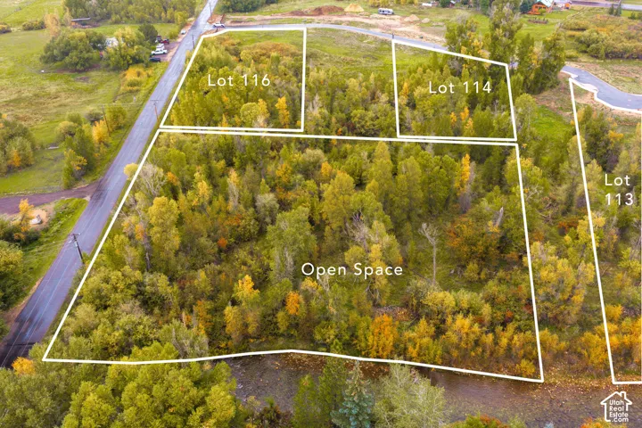 Multiple wooded lots with delineated boundaries and open space