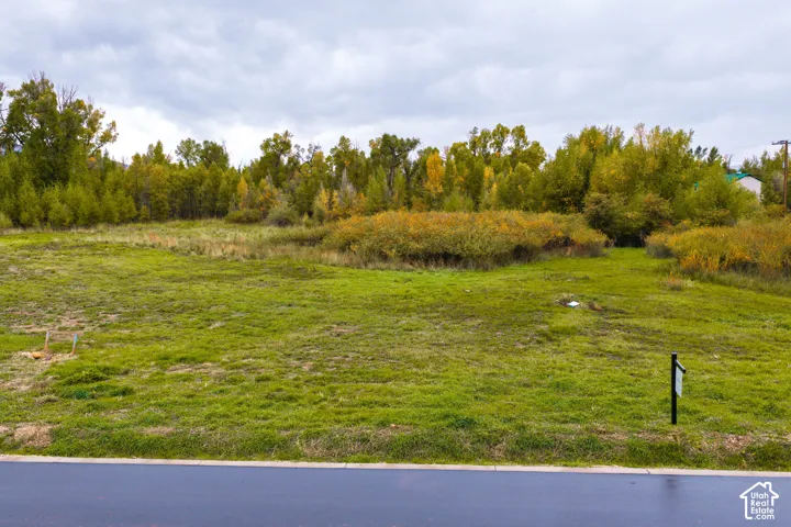 Expansive grass lot bordered by mature trees and natural foliage