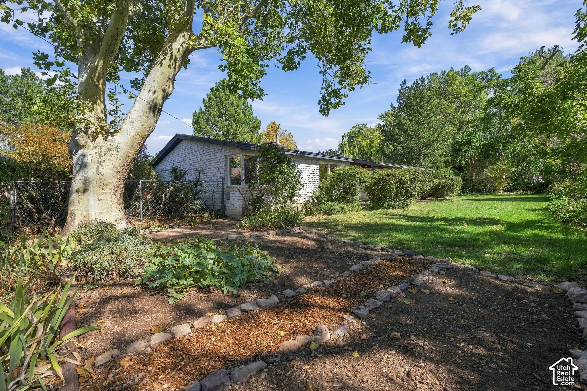 Expansive backyard featuring a big lawn, established garden beds with stone borders, and mature trees providing natural shade