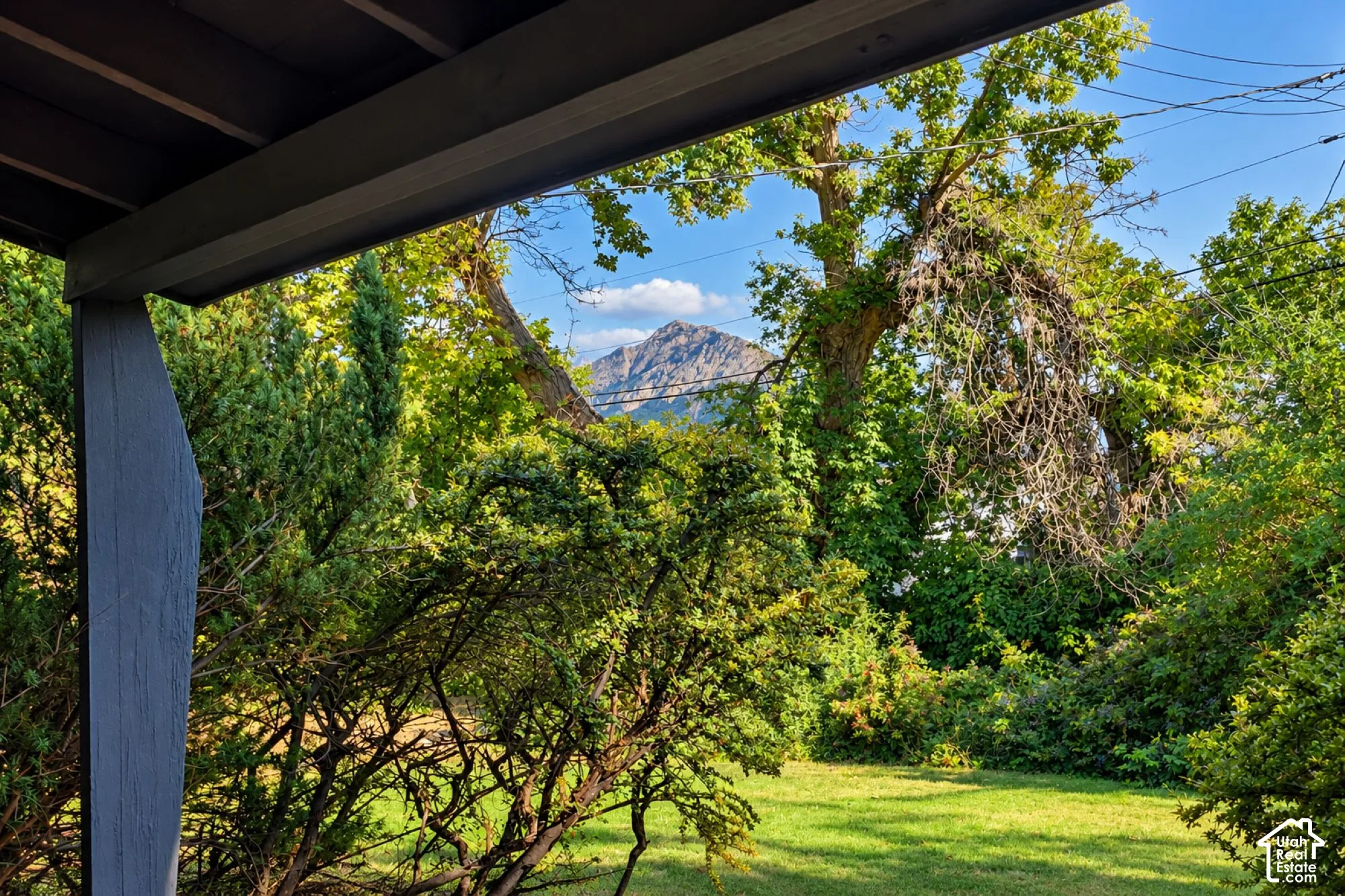 View to Mt Olympus from the back patio