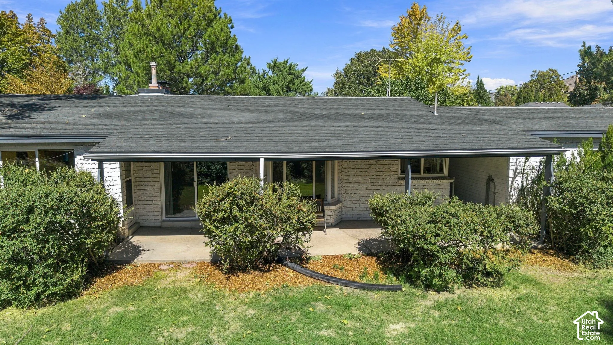Back of the house