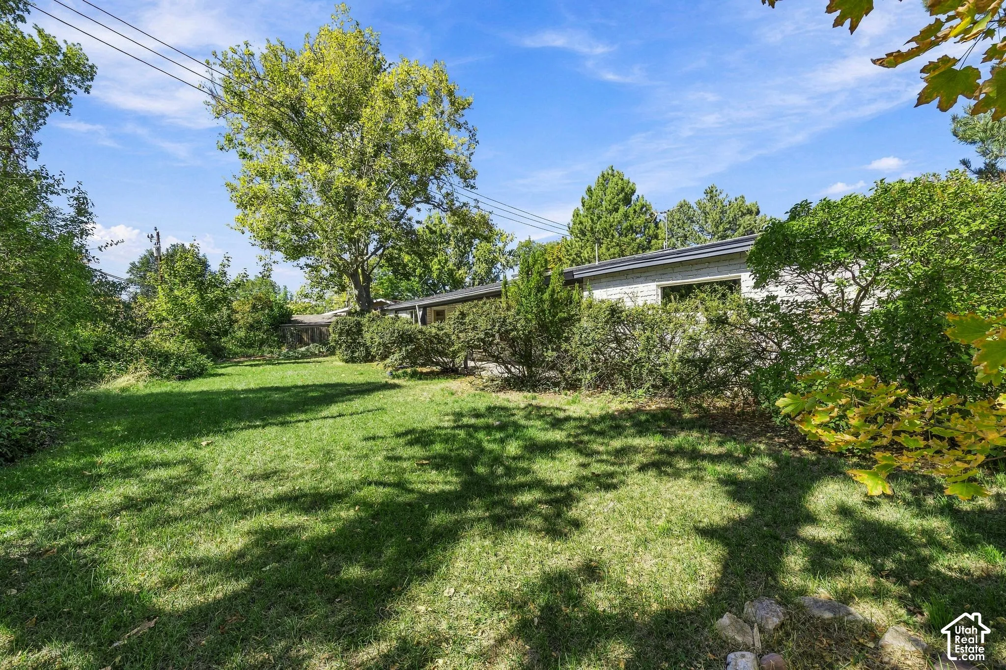 Expansive lawn area with mature trees and established shrubbery