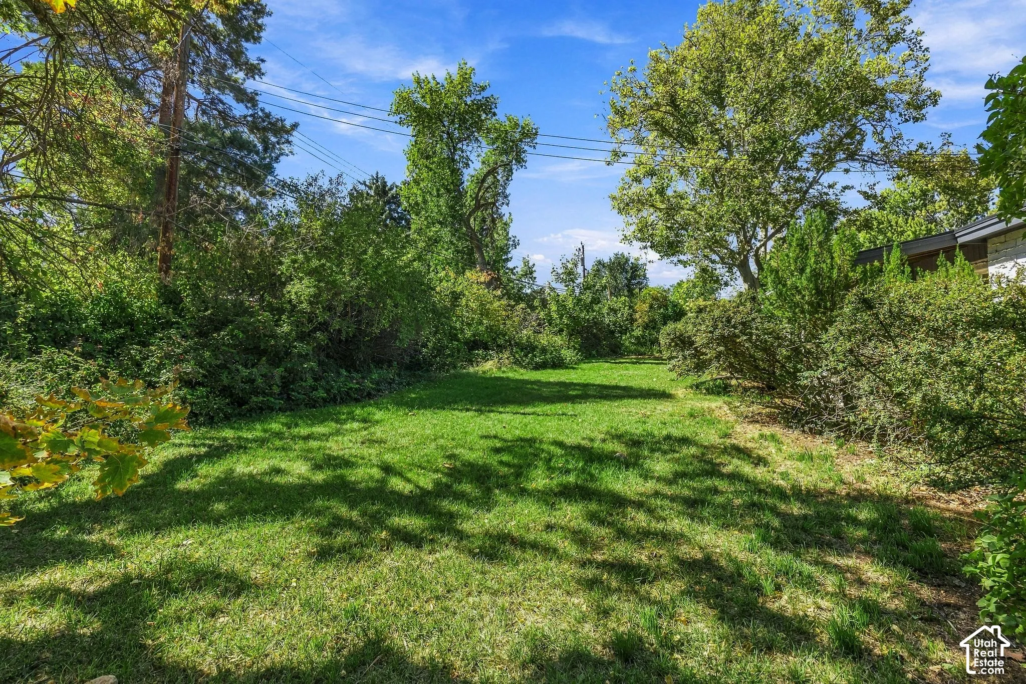 Expansive grassy backyard surrounded by mature trees and varied shrubbery