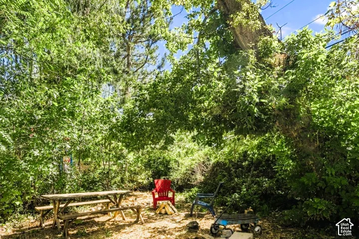 The sitting area at the corner of the backyard next to the brook