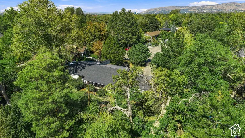 A drone view of the lot