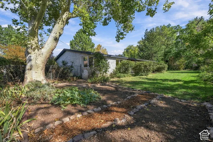 Expansive backyard featuring a big lawn, established garden beds with stone borders, and mature trees providing natural shade