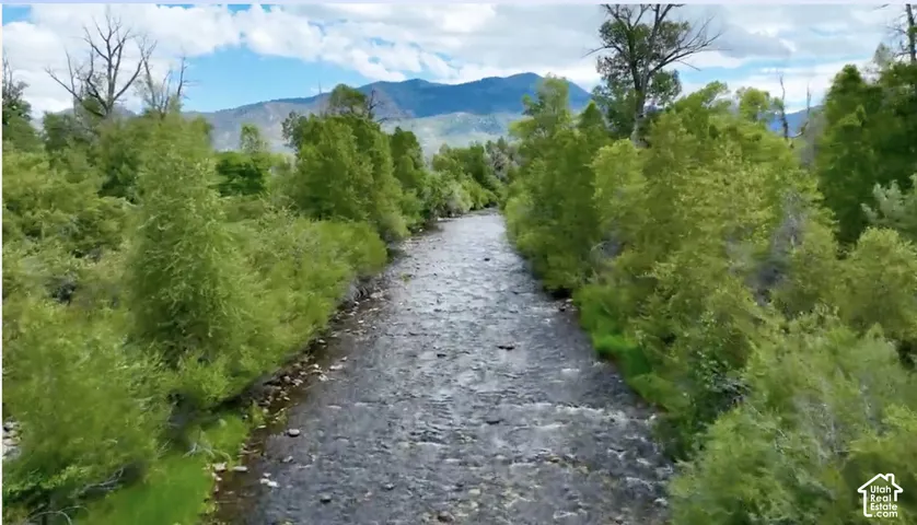 River with rocky bed surrounded by lush green foliage and distant mountains