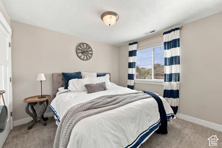 Plush carpet flooring, light neutral wall color, and a window with blinds