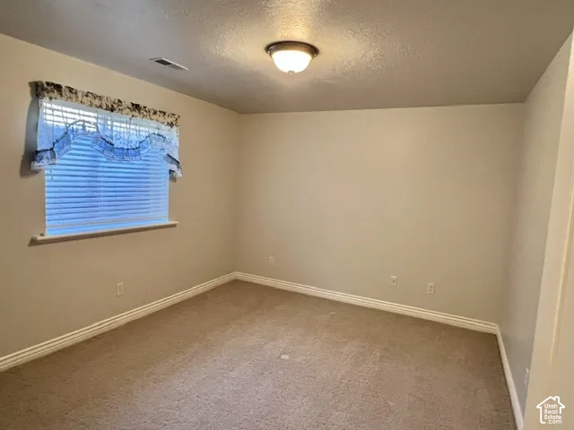 Neutral tone wall paint, carpeted flooring, flush mount ceiling light fixture, window with blinds