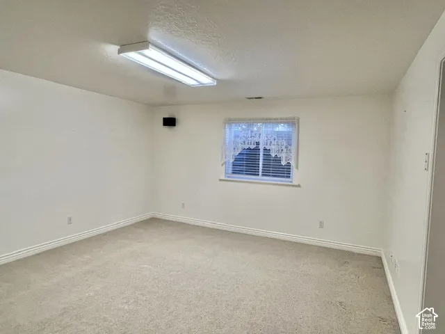 Carpeted flooring, white walls, recessed window with blinds, and overhead fluorescent lighting