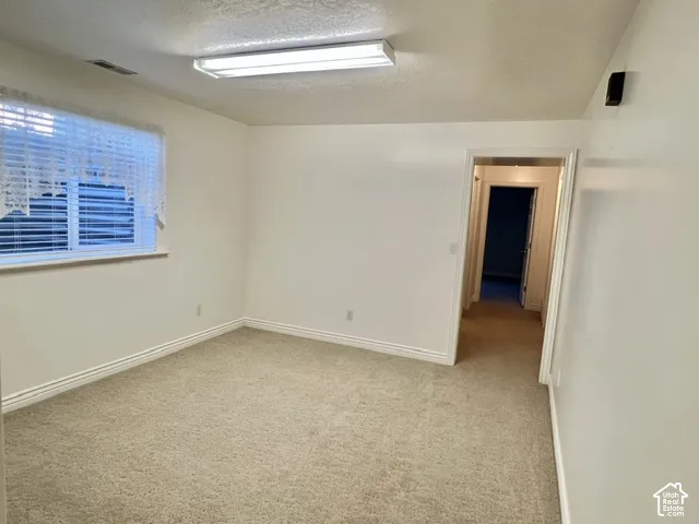 Window with blinds, wall-to-wall carpeting, white painted walls, and overhead fluorescent lighting
