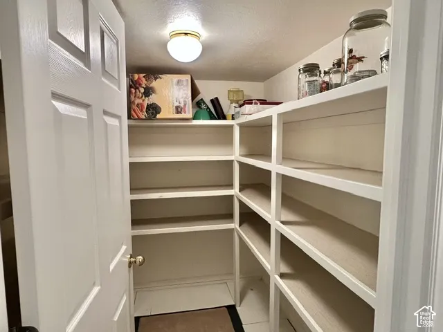 Walk-in pantry with extensive built-in shelving, white paneled door, and overhead lighting