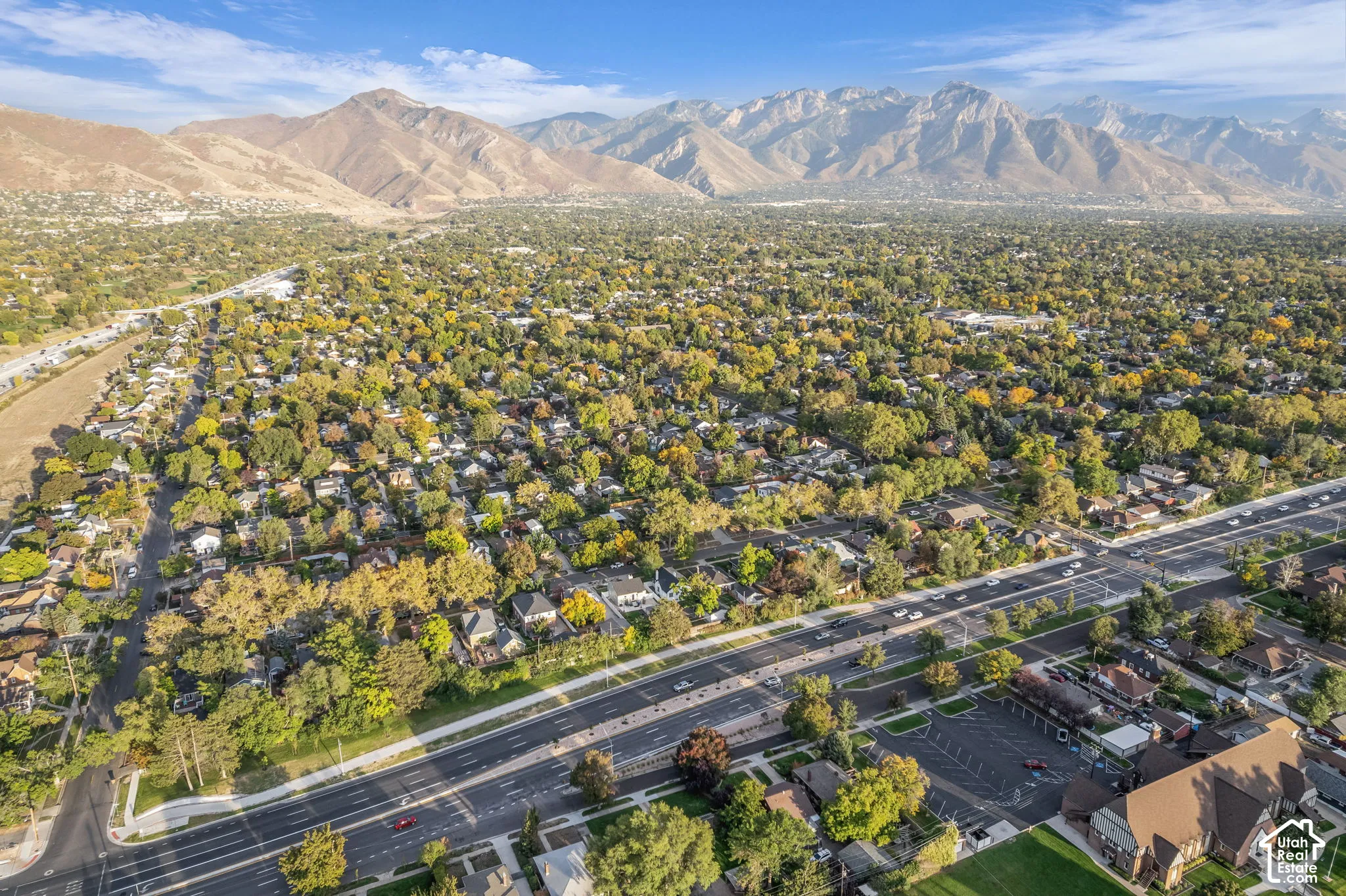 Expansive residential area featuring mature tree canopy, mountain backdrop, and clear skies