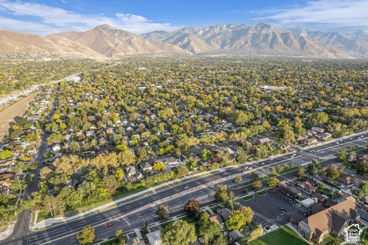 Expansive residential area featuring mature tree canopy, mountain backdrop, and clear skies