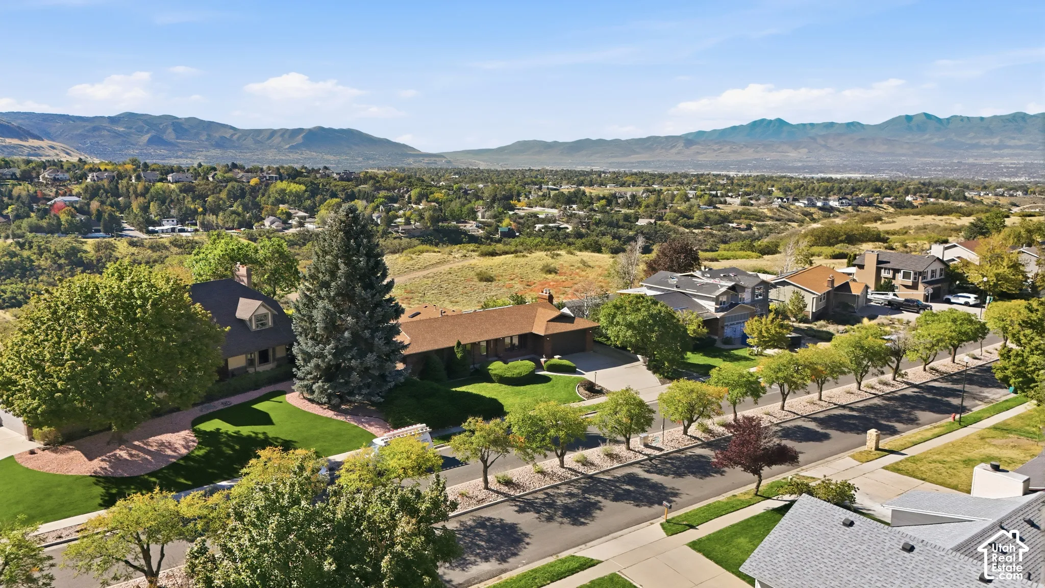 Expansive residential area with mountain backdrop, featuring a street lined with mature trees and multiple single-family homes