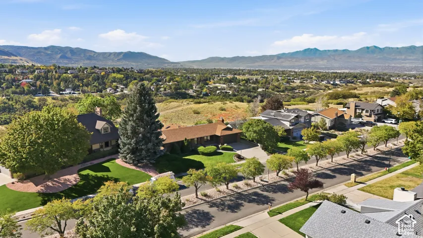 Expansive residential area with mountain backdrop, featuring a street lined with mature trees and multiple single-family homes