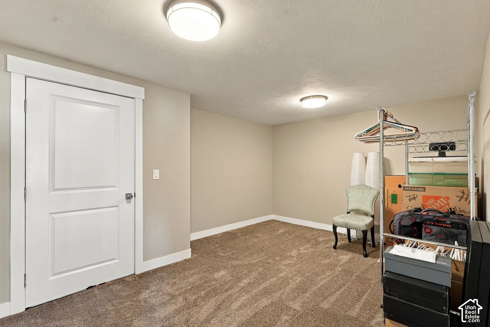 Extra basement storage or flex space, Neutral tone wall paint, flush mount ceiling lighting, and plush carpet flooring