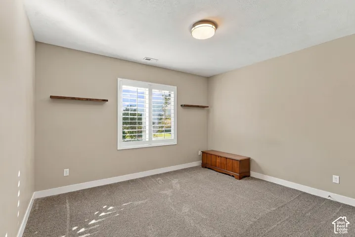 Basement bedroom five, neutral wall tones with a window featuring white plantation shutters, paired with a flush-mount ceiling light and carpeted flooring