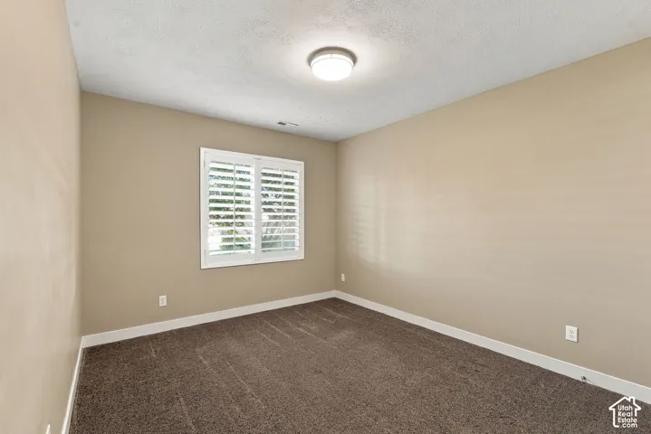 Basement bedroom three, neutral wall tones, textured carpeting, and a flush mount ceiling light