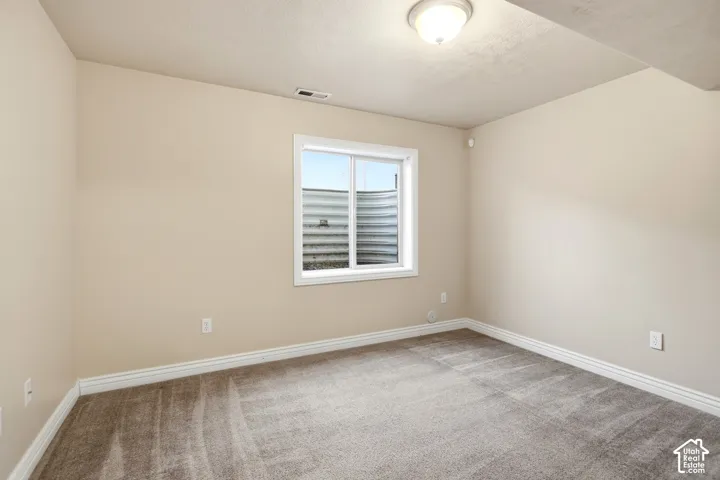 Plush carpet flooring, neutral wall tones, white trim, and a frosted glass ceiling light fixture