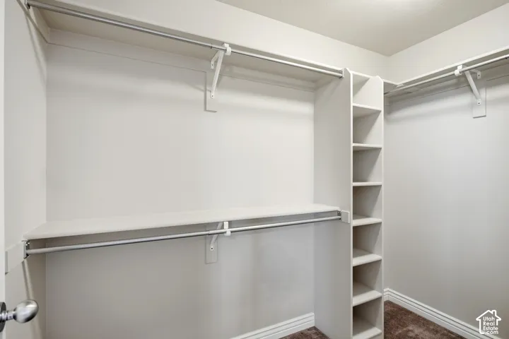Walk-in closet featuring white built-in shelving, multiple hanging rods, and carpet flooring