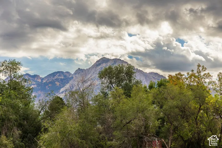 1763 E Honey Hollow Ln, Millcreek, Utah 84106