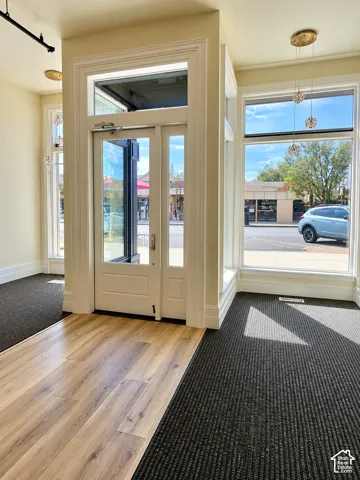 Glass entry door with transom window, extensive window frontage, wood-finish flooring, and track lighting
