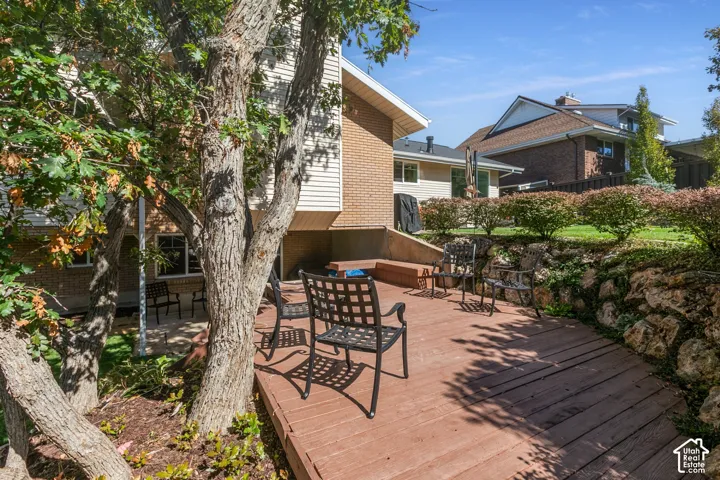 Expansive brick patio with mature shade tree and metal-frame seating area, bordered by established hedging