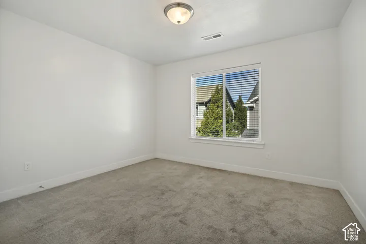 Neutral wall finishes, plush carpeting, a single window, and a flush-mount ceiling light