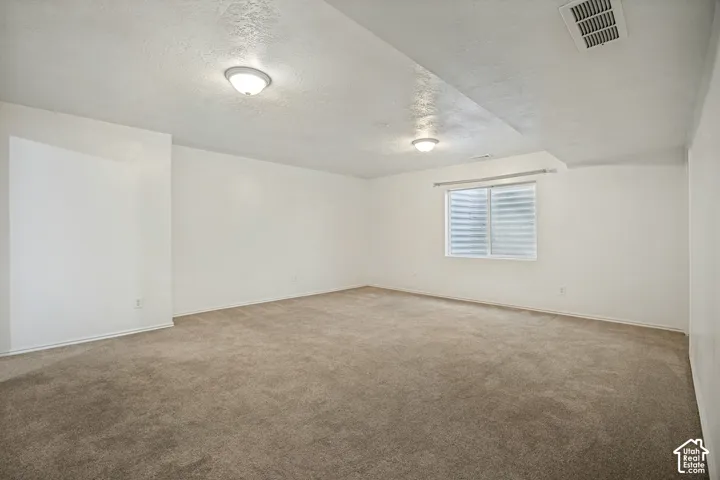 Expansive carpeted room featuring a single window with blinds and flush-mount ceiling lighting