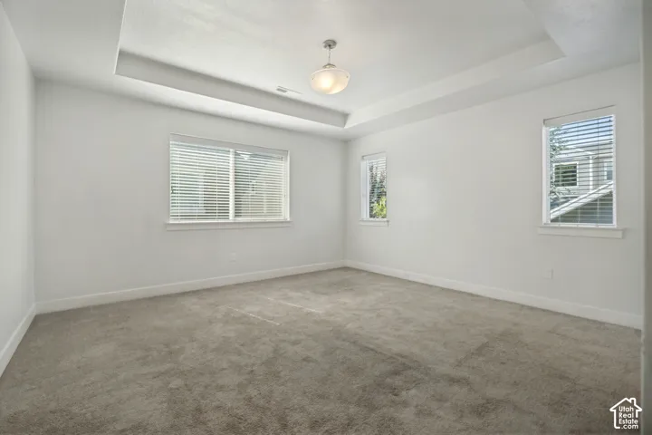 Tray ceiling with recessed lighting, flush mount ceiling fixture, multiple windows with blinds, and neutral carpet flooring