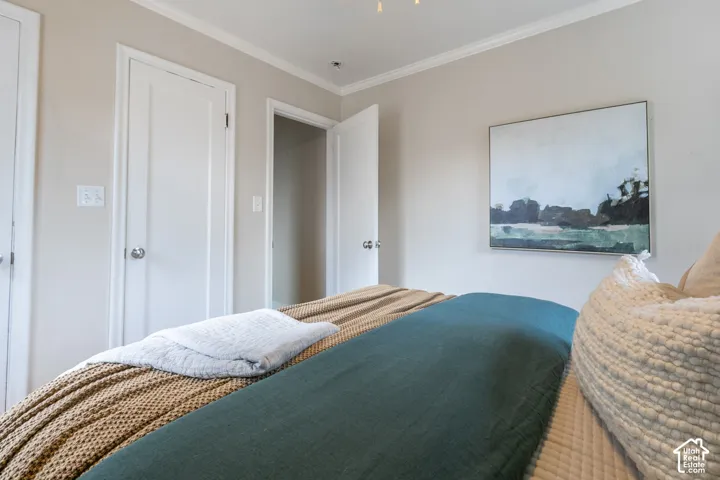 Neutral wall color, white trim, white interior doors, and crown molding