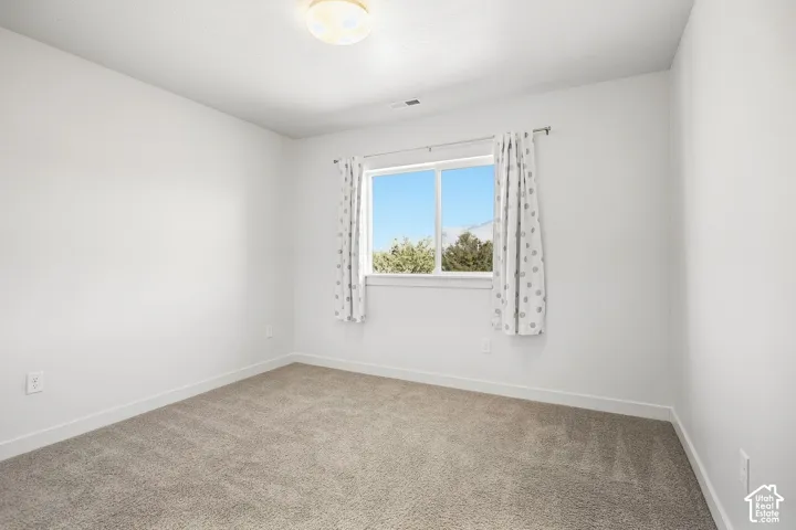 Neutral wall color, carpet flooring, window with natural light, and ceiling-mounted light fixture