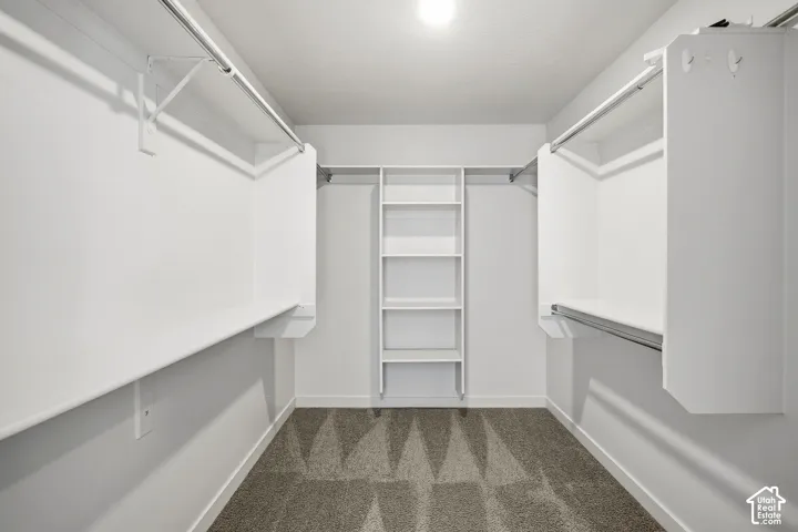 Walk-in closet with built-in shelving, white walls, and carpet flooring