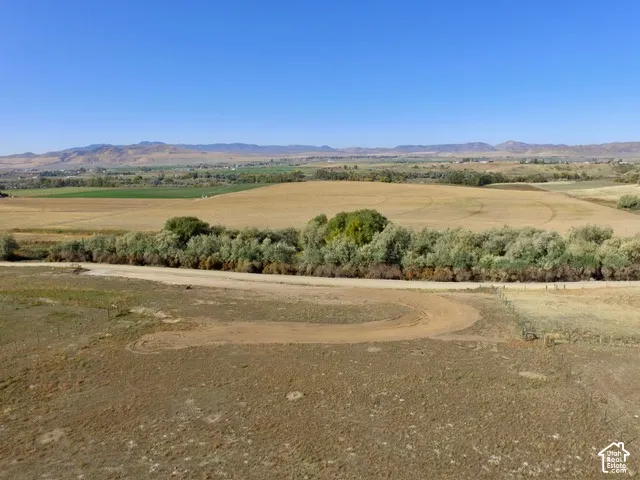 Expansive open land featuring a winding dirt path and abundant natural foliage
