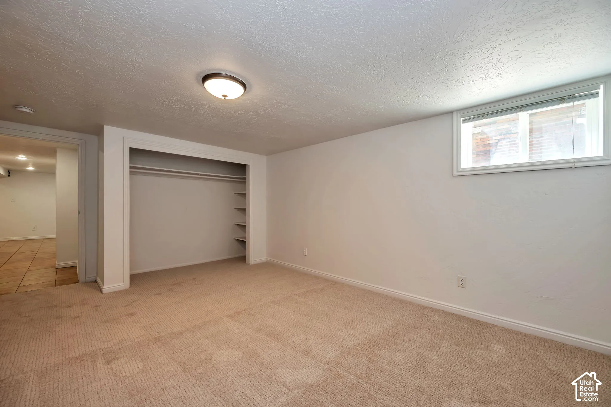 Carpeted room featuring a built-in closet with shelving and hanging rods, an overhead flush-mount light fixture, and a window with blinds