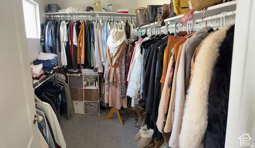 Walk-in closet with carpeted flooring, built-in shelving, and multiple clothing rods