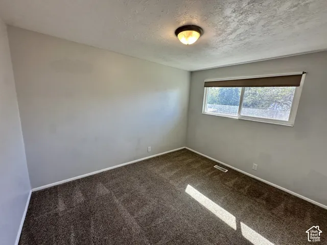 Light-colored walls, brown carpet flooring, and a single window with a brown roller blind