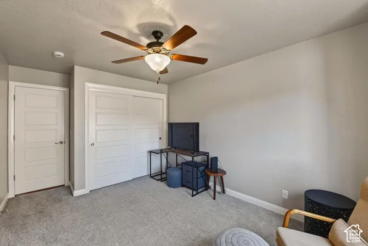 Ceiling fan with integrated lighting, paneled interior doors, and carpeted flooring