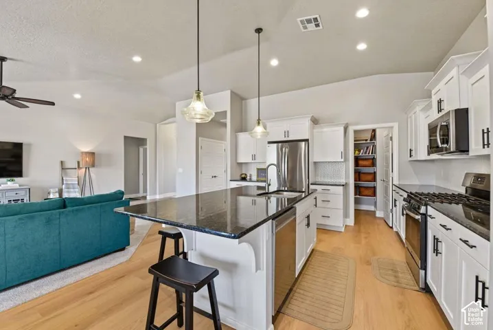 Kitchen featuring white cabinetry, a large island with dark stone countertop, stainless steel appliances, and wood-finish flooring