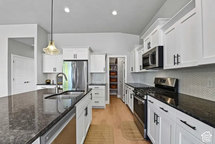 Kitchen featuring white cabinetry, dark stone countertops, stainless steel appliances, a tile backsplash, and wood-finish flooring