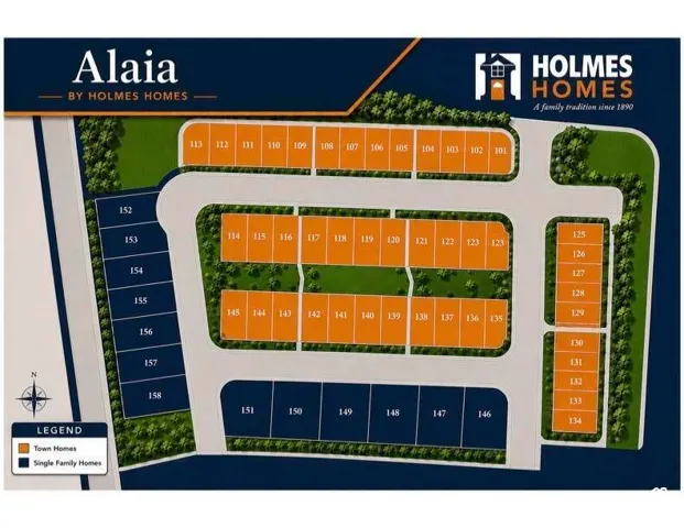 Site Plan. Illustrating the property layout with designated town homes and single family homes