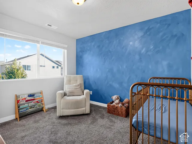 Expansive window, textured accent wall, light grey painted walls, white trim, and plush carpet flooring