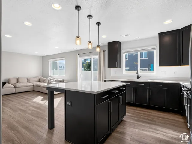 Open-concept kitchen and living area featuring wood-finish flooring