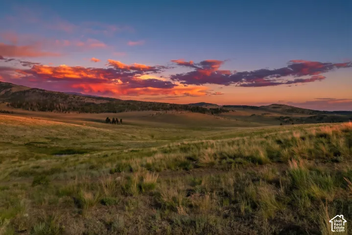 View: Evening light over the rolling meadows around the property.