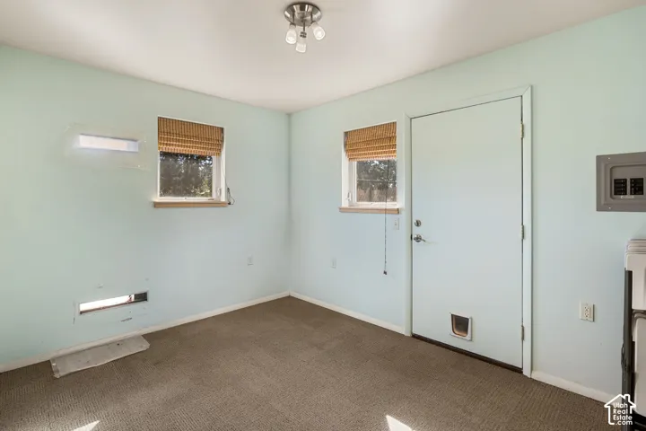 Wall-mounted ceiling light fixture, two windows with natural light, and a door with an integrated pet access point