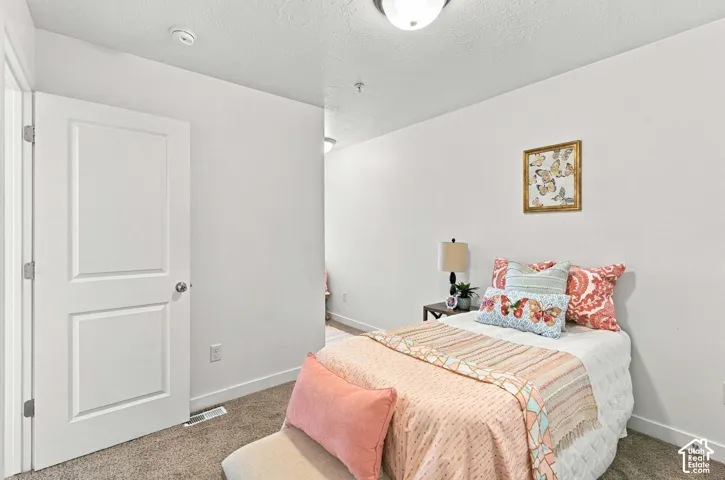 White interior door with silver hardware, white walls, and carpet flooring