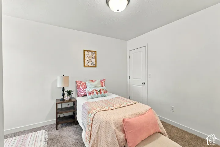 Neutral wall paint, plush carpeting, white interior door, and overhead ceiling light fixture