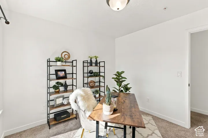 Neutral wall finishes, recessed lighting, and carpeted flooring