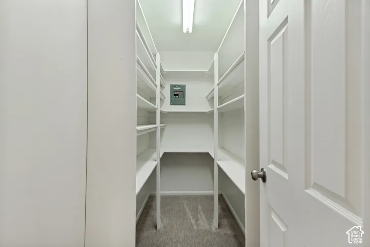 Walk-in closet with carpet flooring, built-in shelving, and recessed lighting